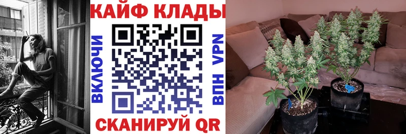 Марихуана Луга