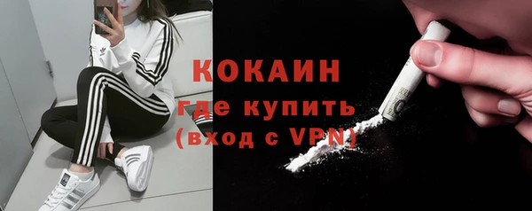 молекула духа Арсеньев